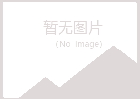 铜川字迹司机有限公司